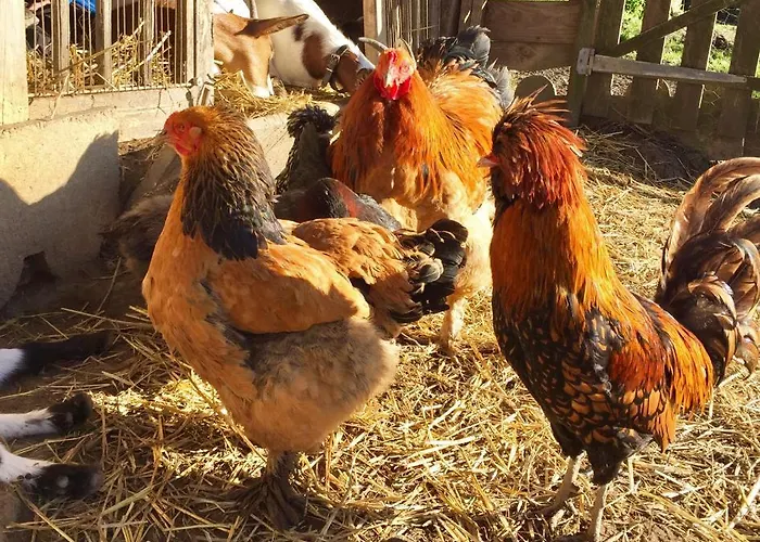 ラグジュアリーテント Le Wigwam Du Fassac Saint-Julien-du-Puy