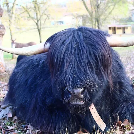 Le Wigwam Du Fassac Luksustelt Saint-Julien-du-Puy