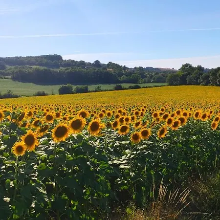 Luksustelt Le Wigwam Du Fassac