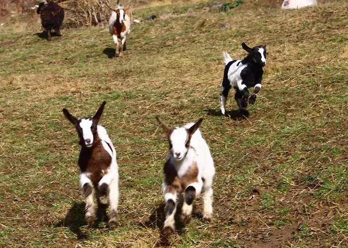 Le Wigwam Du Fassac Luxuszelt