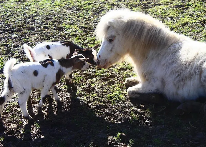 Le Wigwam Du Fassac Saint-Julien-du-Puy