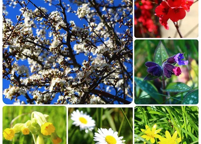 Le Wigwam Du Fassac * Saint-Julien-du-Puy