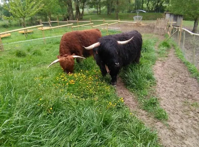 Luxury tent Le Wigwam Du Fassac